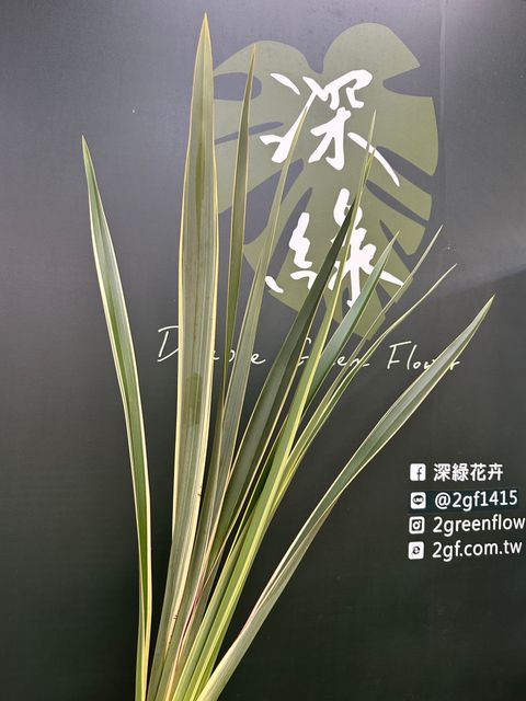 image_369BCB0C-2B56-4884-B8AF-3A48755D8E6F_1783211866