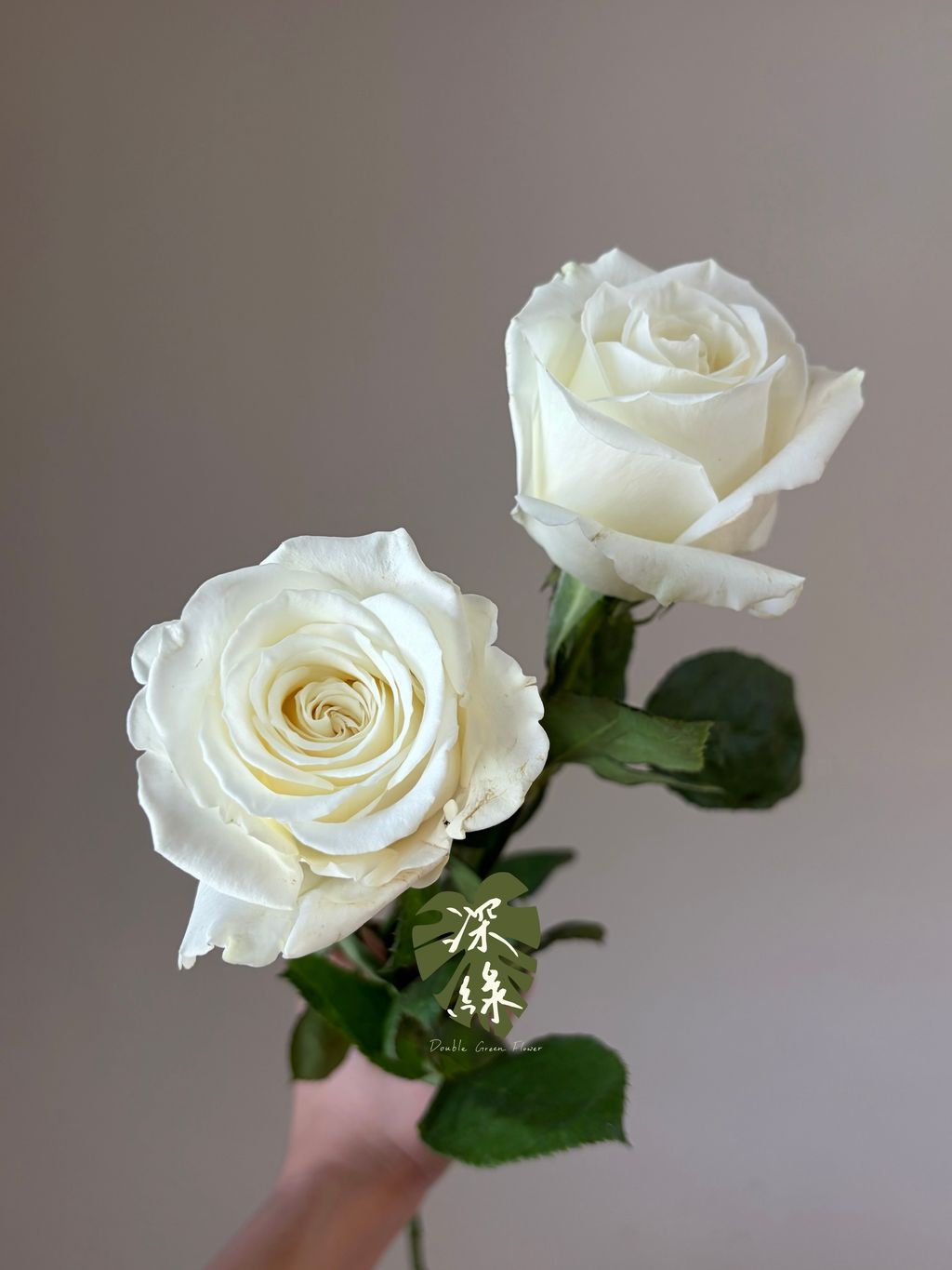 image_B13CC18B-C776-4DC7-978D-1F923330504C_1783324120