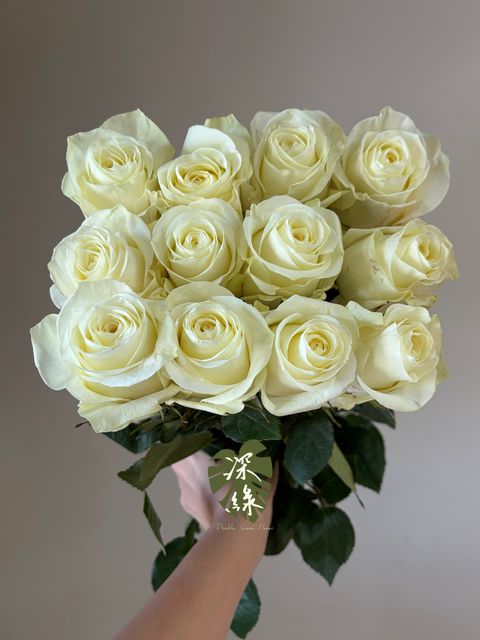 image_750B60AD-CB14-4ACE-9CE2-D8A7B2603FCD_1783324375