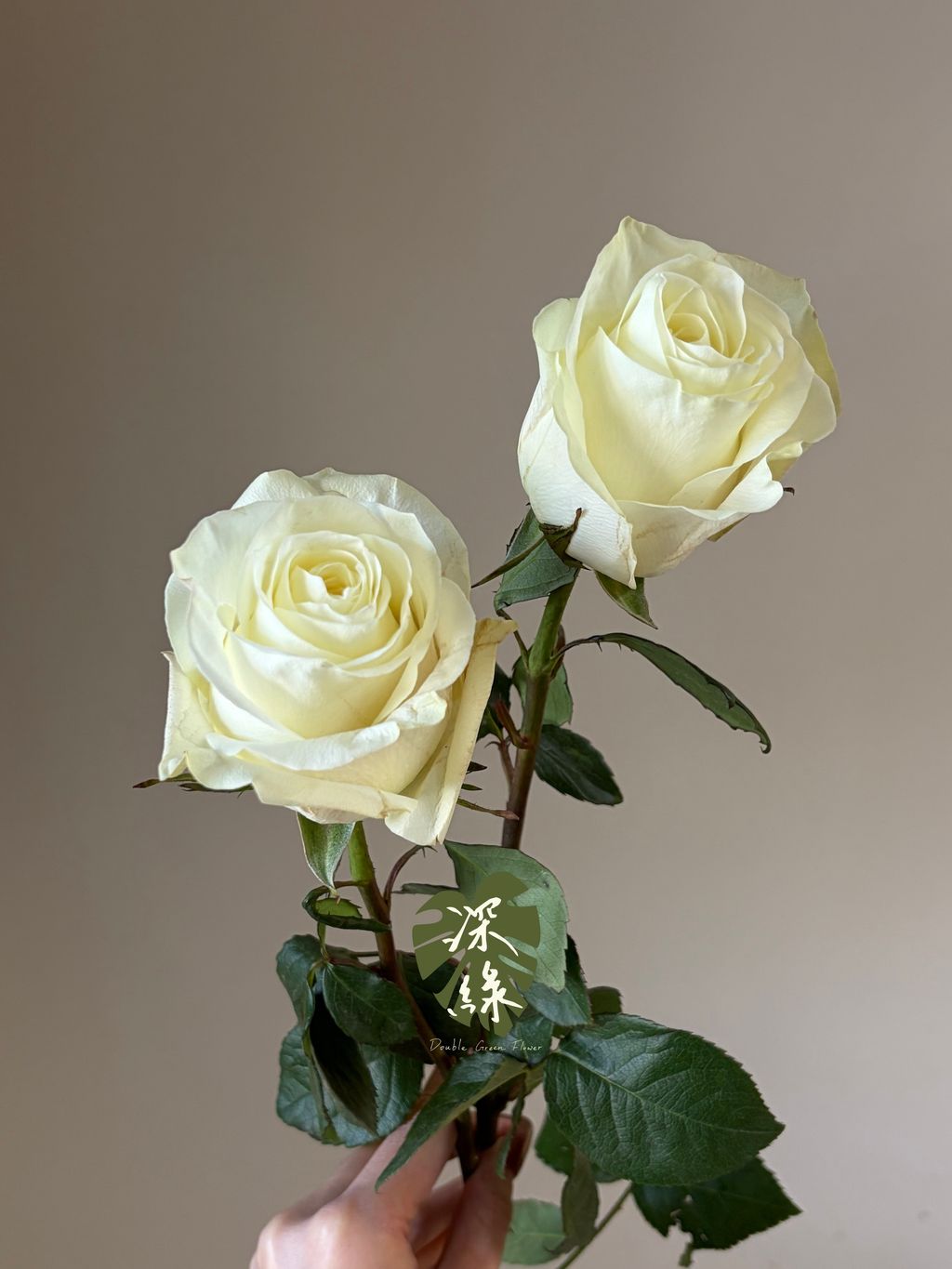 image_072844FB-9BF0-41F1-87C9-33CC1405C878_1783324375