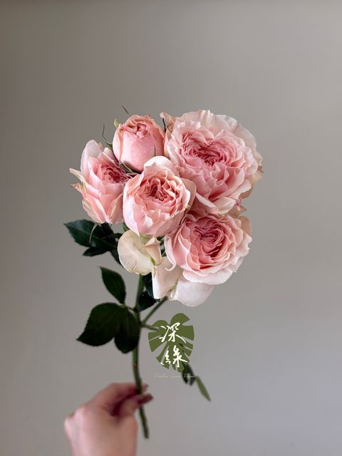 image_58AB566C-0CF1-453C-A5DB-00C10C9F4DBF_1783325034