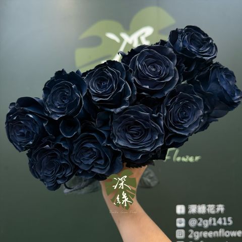 image_B0572215-8A6A-44D3-BB2D-21353E6C943F_1783413835