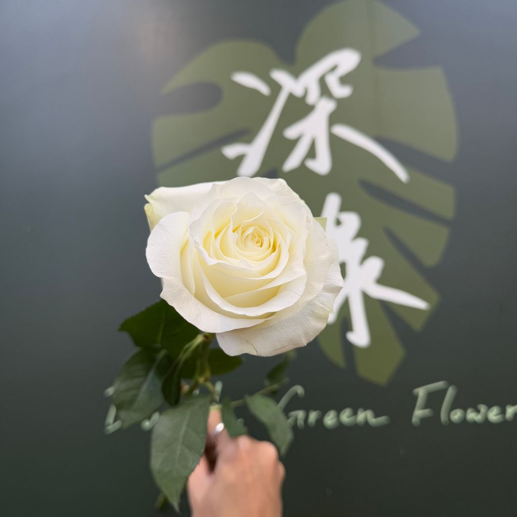 image_F098318B-5C05-413B-AAA0-82D9DD19E768_1783414704