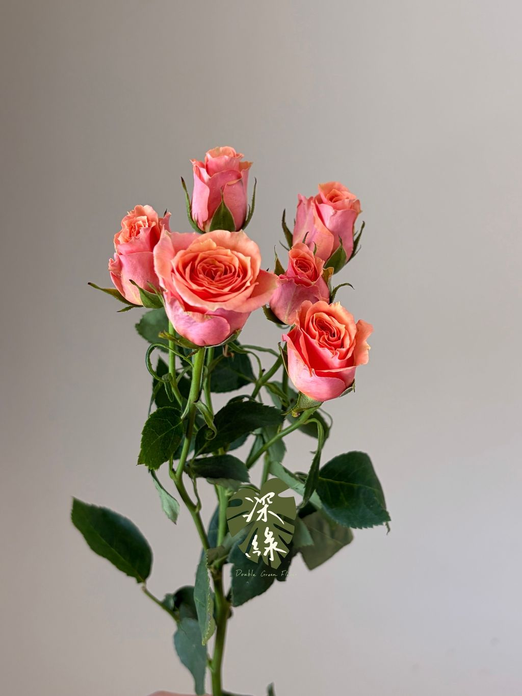 image_A642BDA1-2D73-4980-9CF9-CA7FA009D701_1783325131