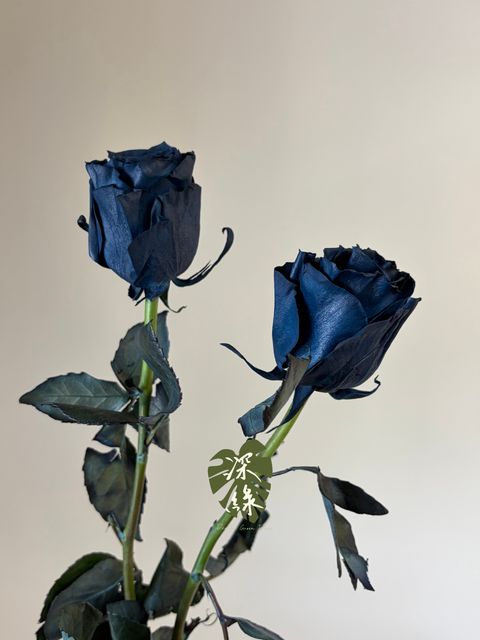 image_6F32BBAE-2D11-453E-A51E-85ADFDDD87AC_1783479540