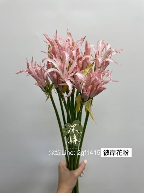 AIL4fc9xe4832UbCQkBeBb04mJSqggqxgy8Od35whC-FG6t_FhZKn-RvY6usmDepNz3A8ibNYgR8I3AHTB5D3D3i1x6xjWHOCx01TgHiy7kjDIlB-i1kv_yyu838USi6JzkG7SVD3zWfSxAQgLTcRYdUEWaU=w634-h845-s-no