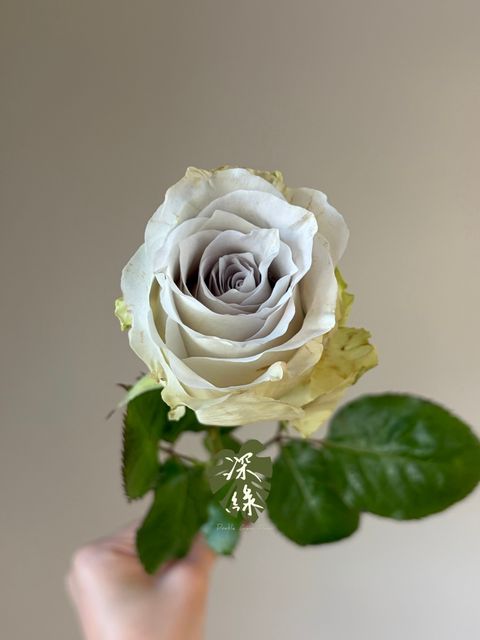 image_E00FF29A-8DF3-4822-95F8-2F85ACD46DB4_1783479822
