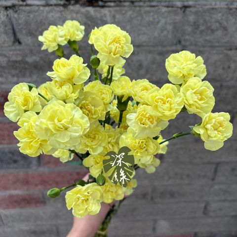 image_691231DC-C99A-4799-A3B9-BDAD9AD9C528_1783566949