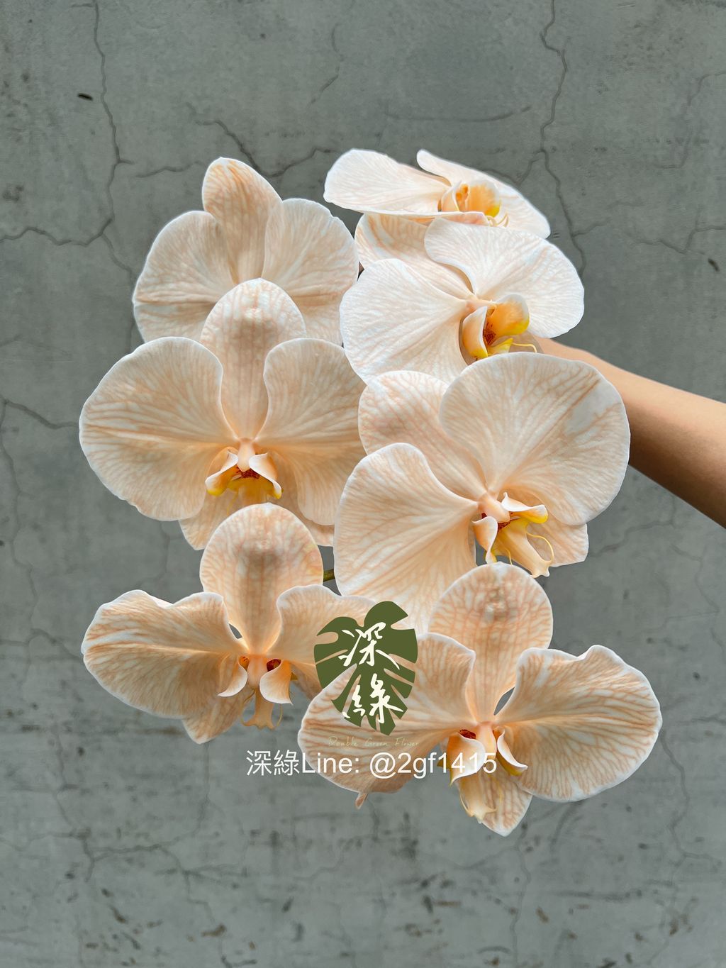 eZy Watermark_06-12-2023_01-28-55-0270下午-1701840918144