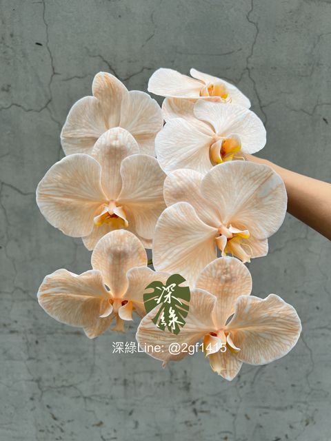 eZy Watermark_06-12-2023_01-28-55-0270下午-1701840918144