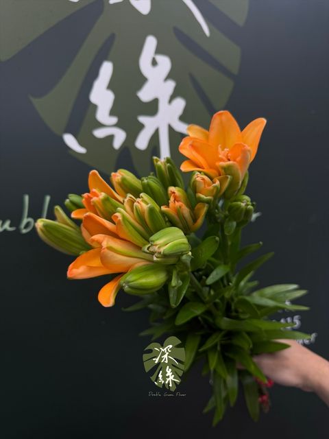 image_D54B76E2-00F7-4E3C-B391-D187AE56D283_1783802056