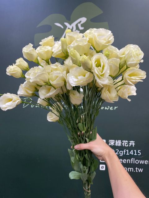 image_AB39D964-F905-4960-9AB8-53C7C135A802_1783917916