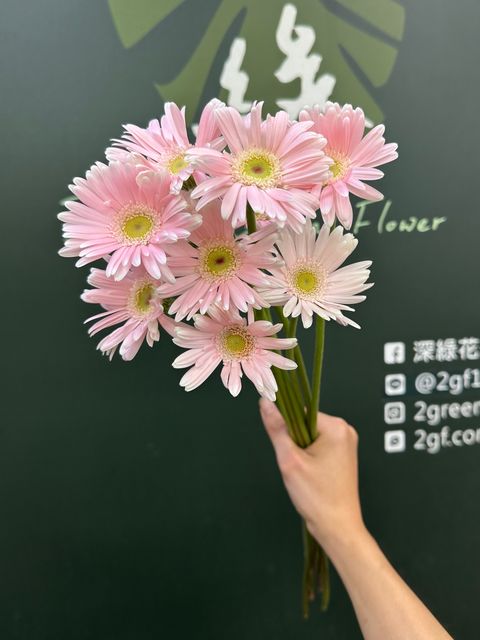 image_09ACC6E9-EE9F-46D4-9ADE-C0D600400140_1783996587