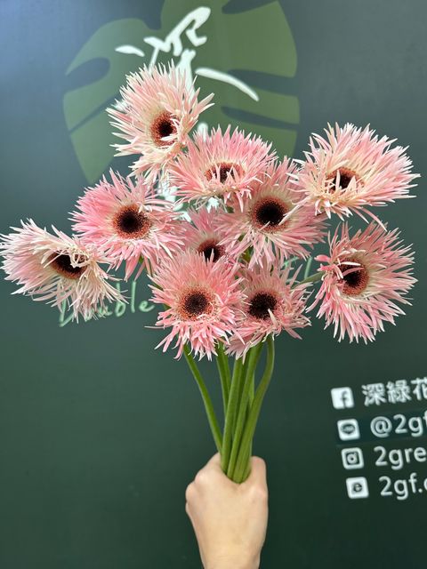 image_2E148E72-3719-4D11-823E-EC181B37A5B0_1783996903