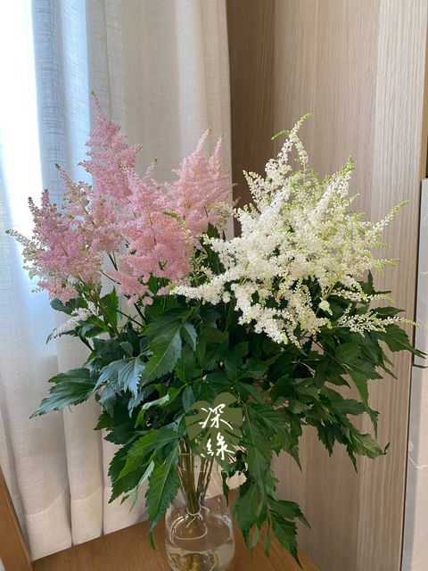 S__54091793_0