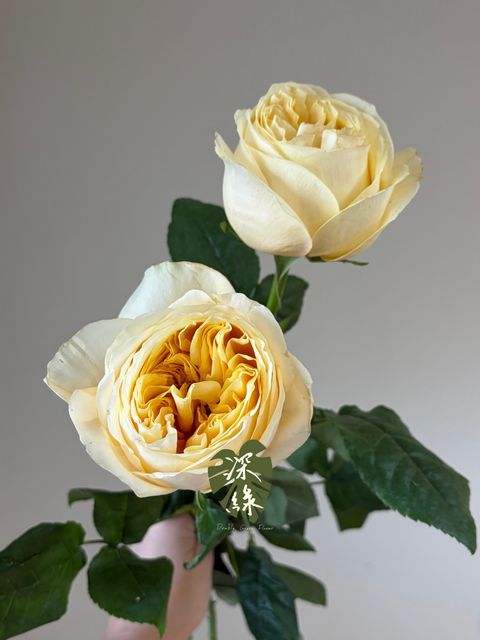 52F10EEC-F518-4FFD-A3BF-32D61D99FC40
