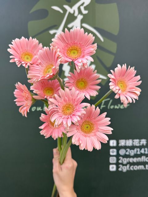 image_D8AFF480-8B04-497A-9140-CF6CE3BE3545_1784520464