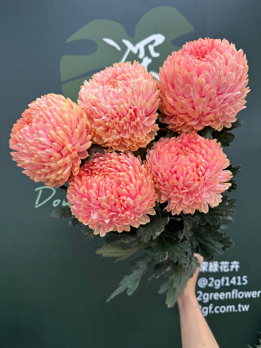 image_C0832C83-CF65-472C-9EA7-FBA3E7F17F23_1784603398