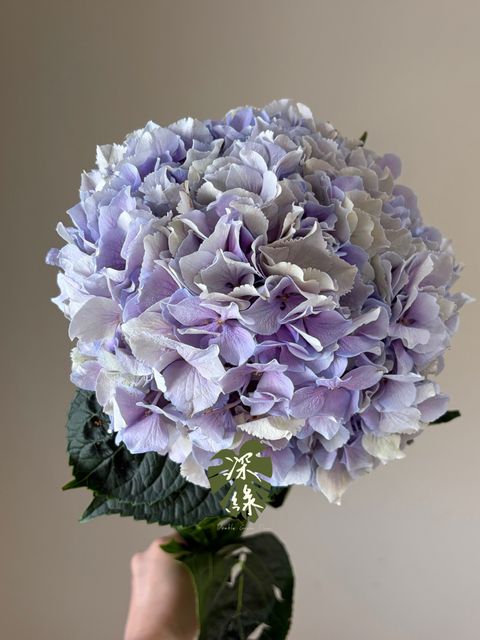 S__54460438_0