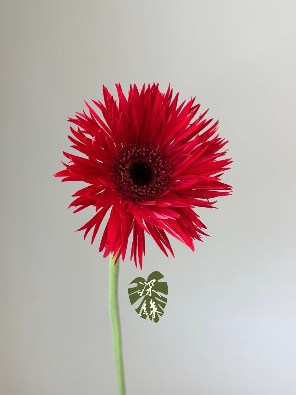 S__54460425_0