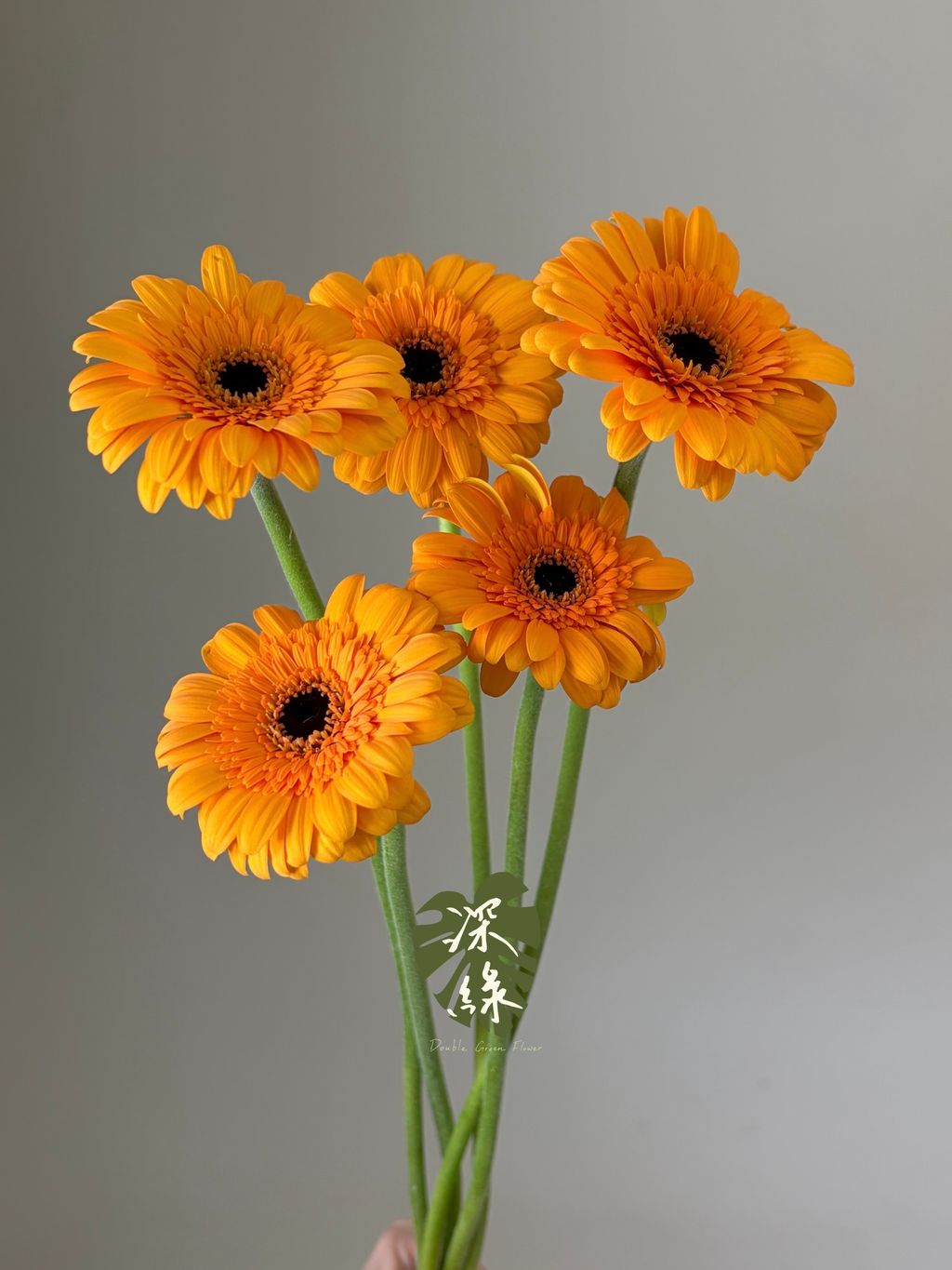 S__54460422_0