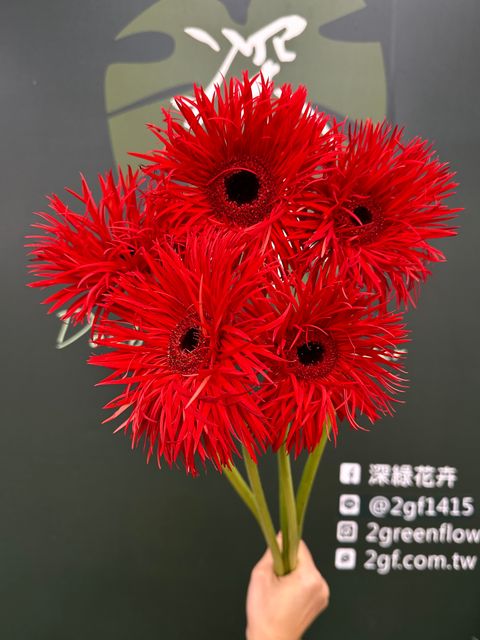 image_832D7061-F8CF-4308-AF78-71BD6AE37D72_1784687612