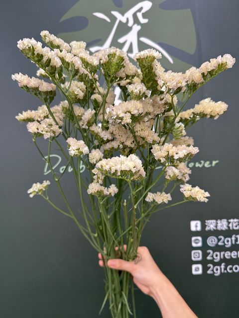 image_B0CA1FC2-E57C-4D0F-BD87-E3BDAF54DAA6_1784689129