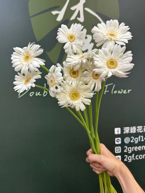 image_ECA14B75-D228-48F8-B87B-A0B198843599_1784780566