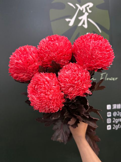 image_534BD1F4-F4E2-4BA5-9D15-05339179C160_1784780714