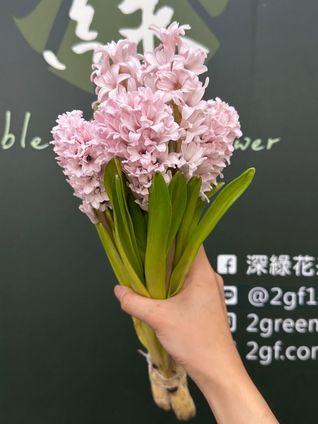 image_C8966656-C272-44AD-863C-3AC1CE4A961D_1784860787