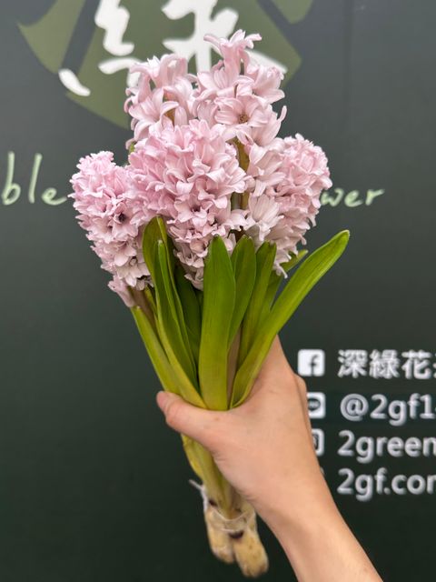 image_C8966656-C272-44AD-863C-3AC1CE4A961D_1784860787