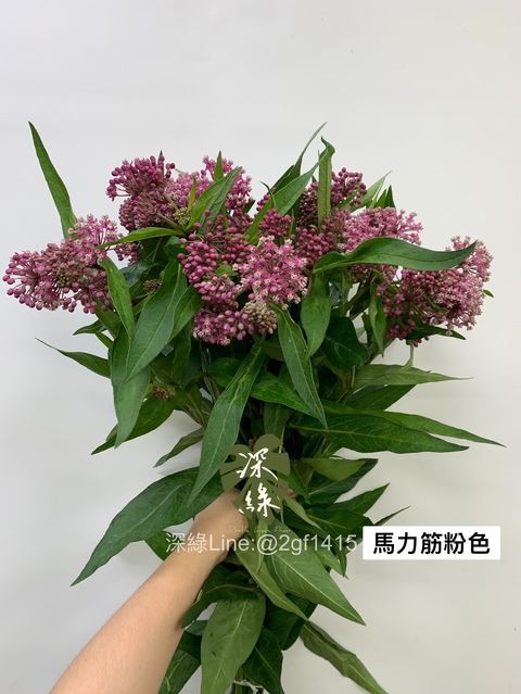 DE0F23B6-51B3-4AFC-A039-7003D0A25B87