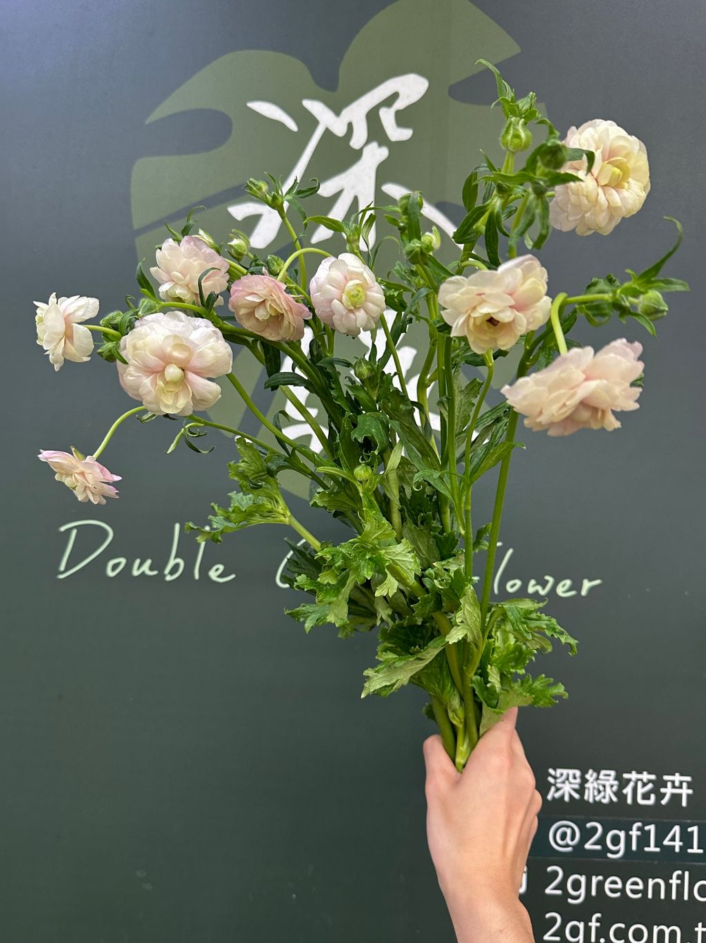 image_DF83F78B-ED5D-4E3A-A3D6-034C28B480F4_1785126735