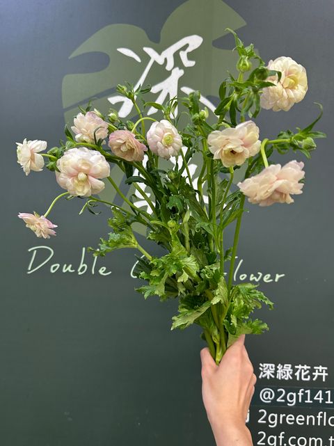 image_DF83F78B-ED5D-4E3A-A3D6-034C28B480F4_1785126735
