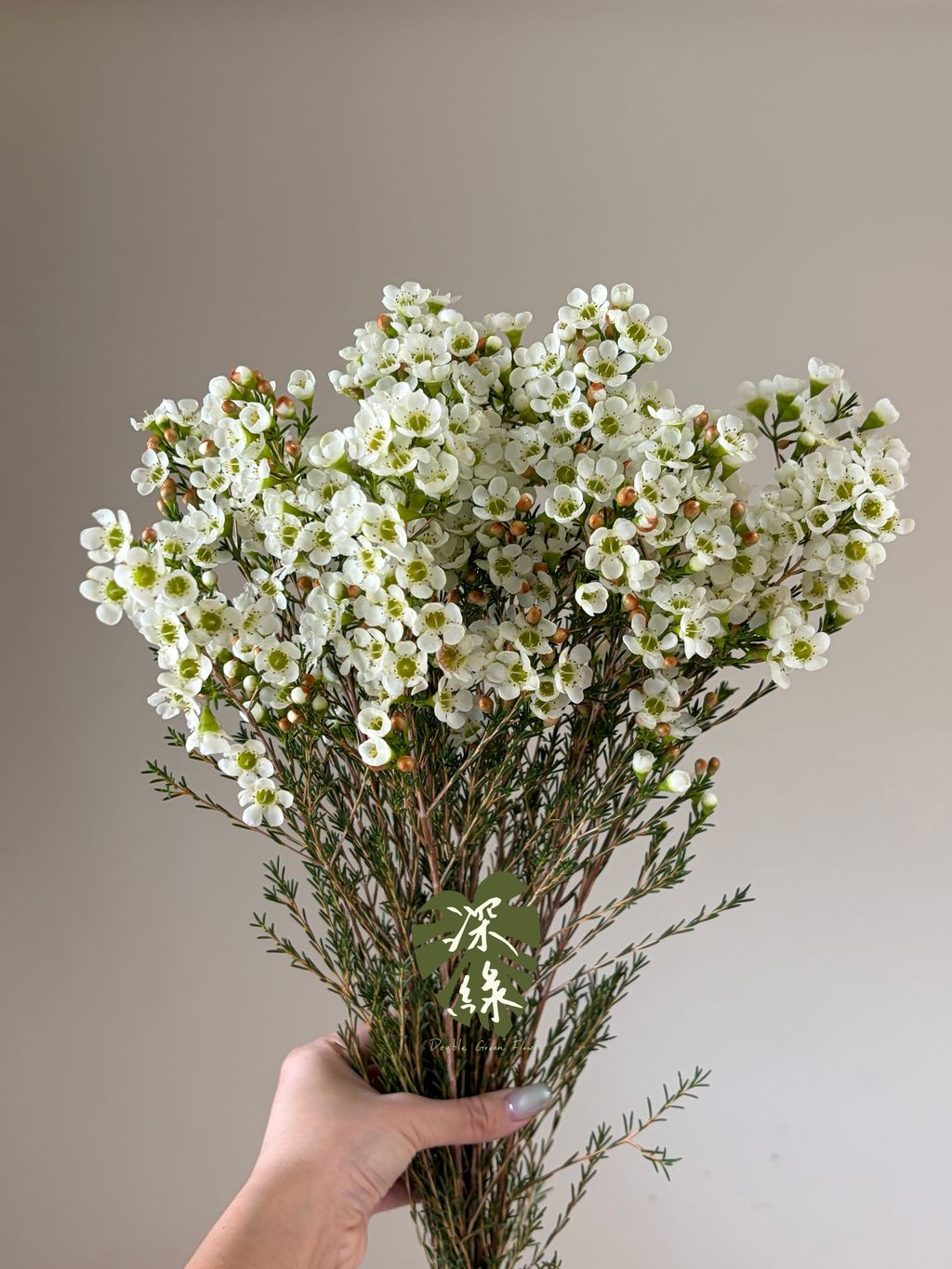 image_482EE880-4D98-41A3-859F-5D4E27BD673F_1785143759