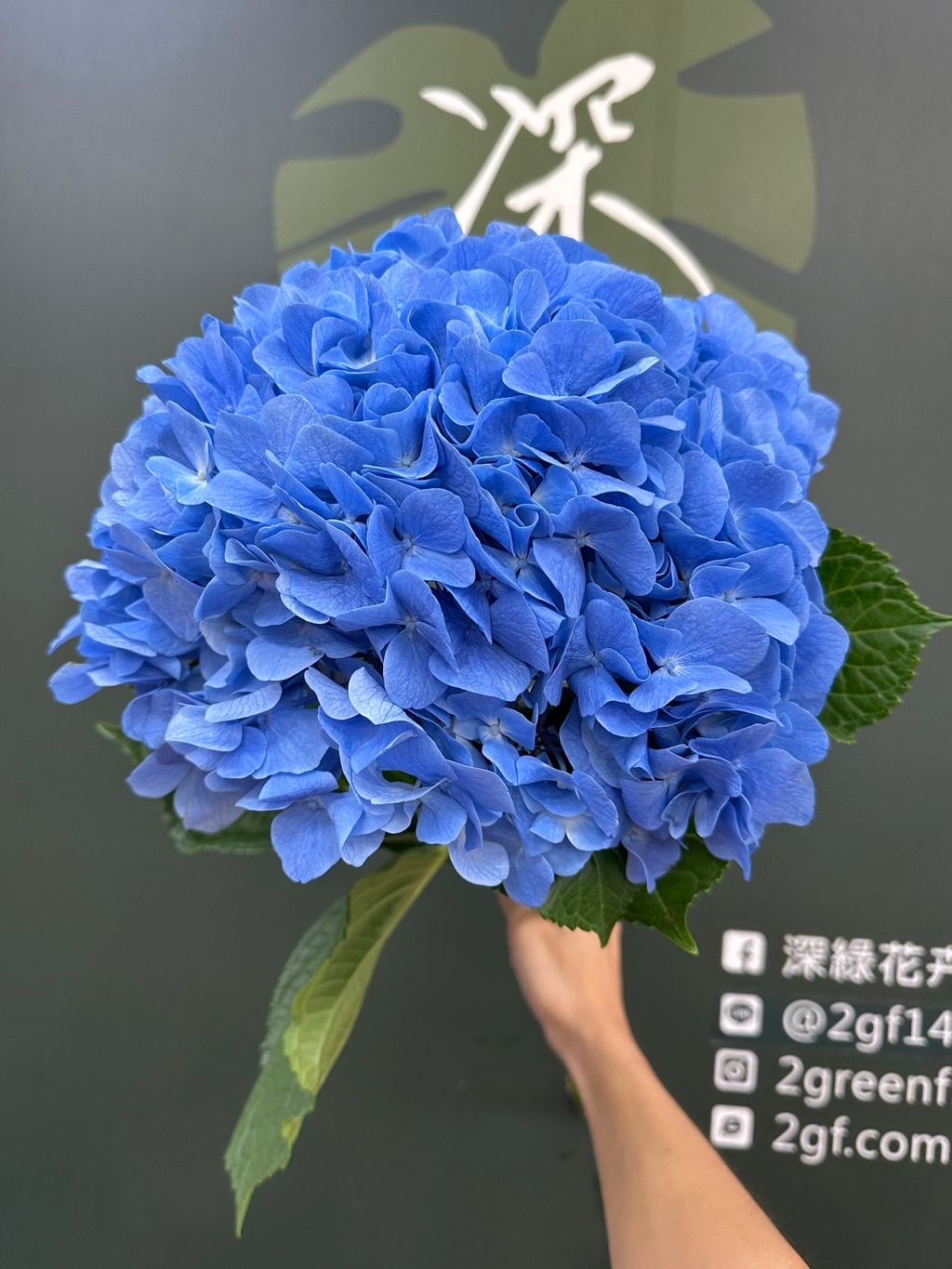 image_1D06154F-ADE5-4583-81D3-E99EF64DB3A2_1785208081