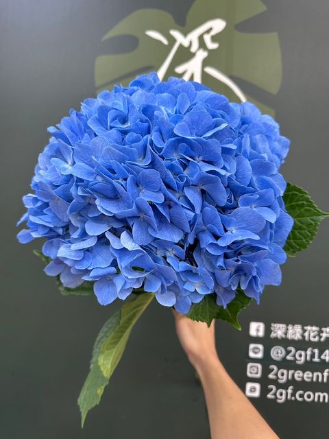 image_1D06154F-ADE5-4583-81D3-E99EF64DB3A2_1785208081