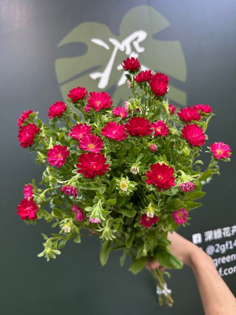 image_FC532962-2748-4CF5-9534-1DE9F0048A63_1780376574
