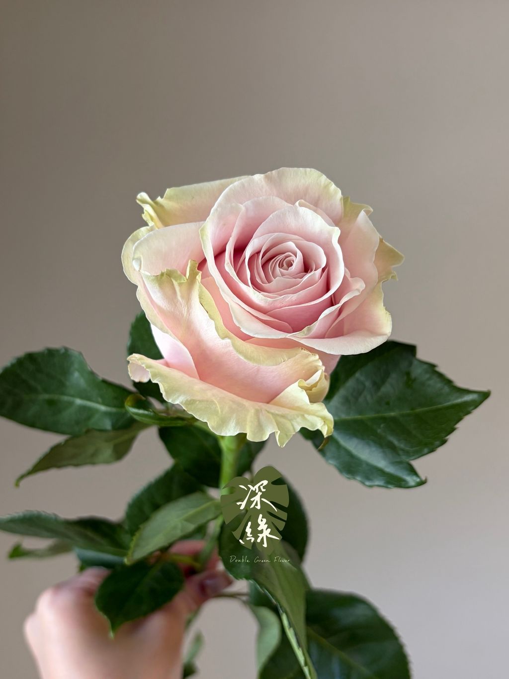 image_3DD5EF53-76C7-43FC-AA22-460B71F3A0DF_1783324261