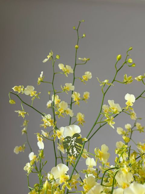 image_4AE149FB-94A8-44D3-B031-524D74D37116_1785437280