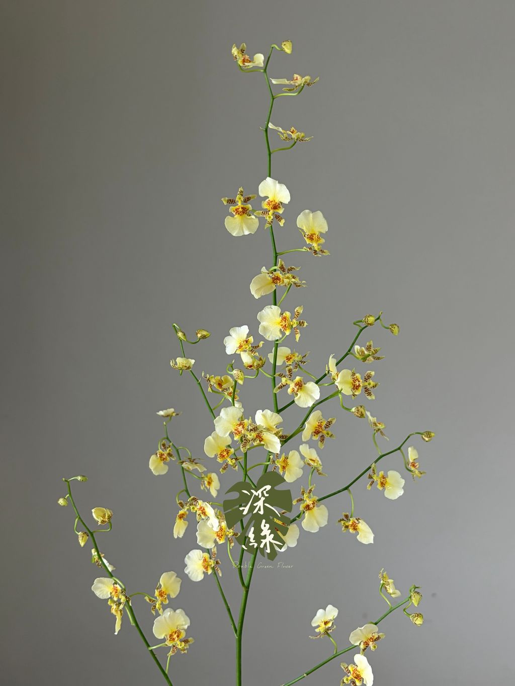 image_CD322214-3D95-4679-96A6-54C35D58B2EE_1785437330