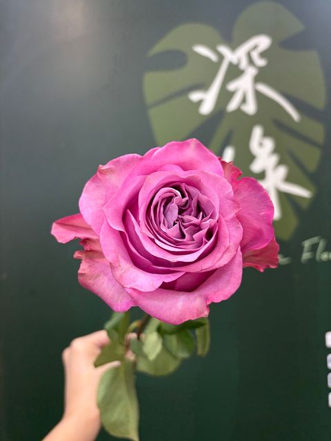 8CEDCB57-56E9-4BD4-84FA-B714CC196D38