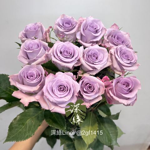 S__6946851_0