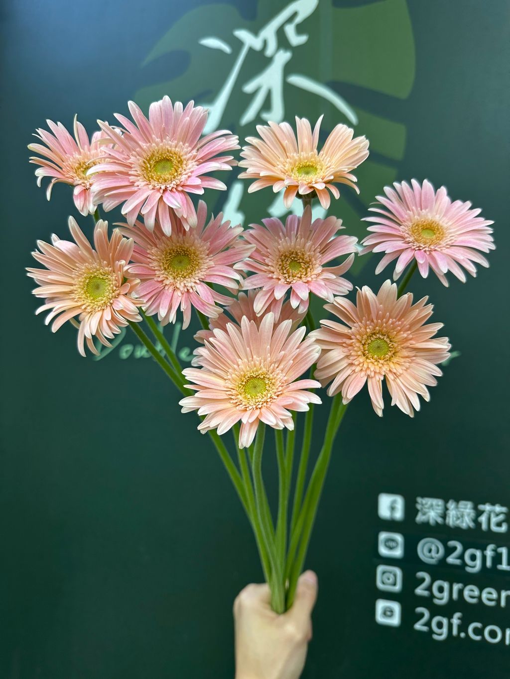 image_5764468C-E2DD-4E37-8678-A1DF0AE30A8E_1784520526