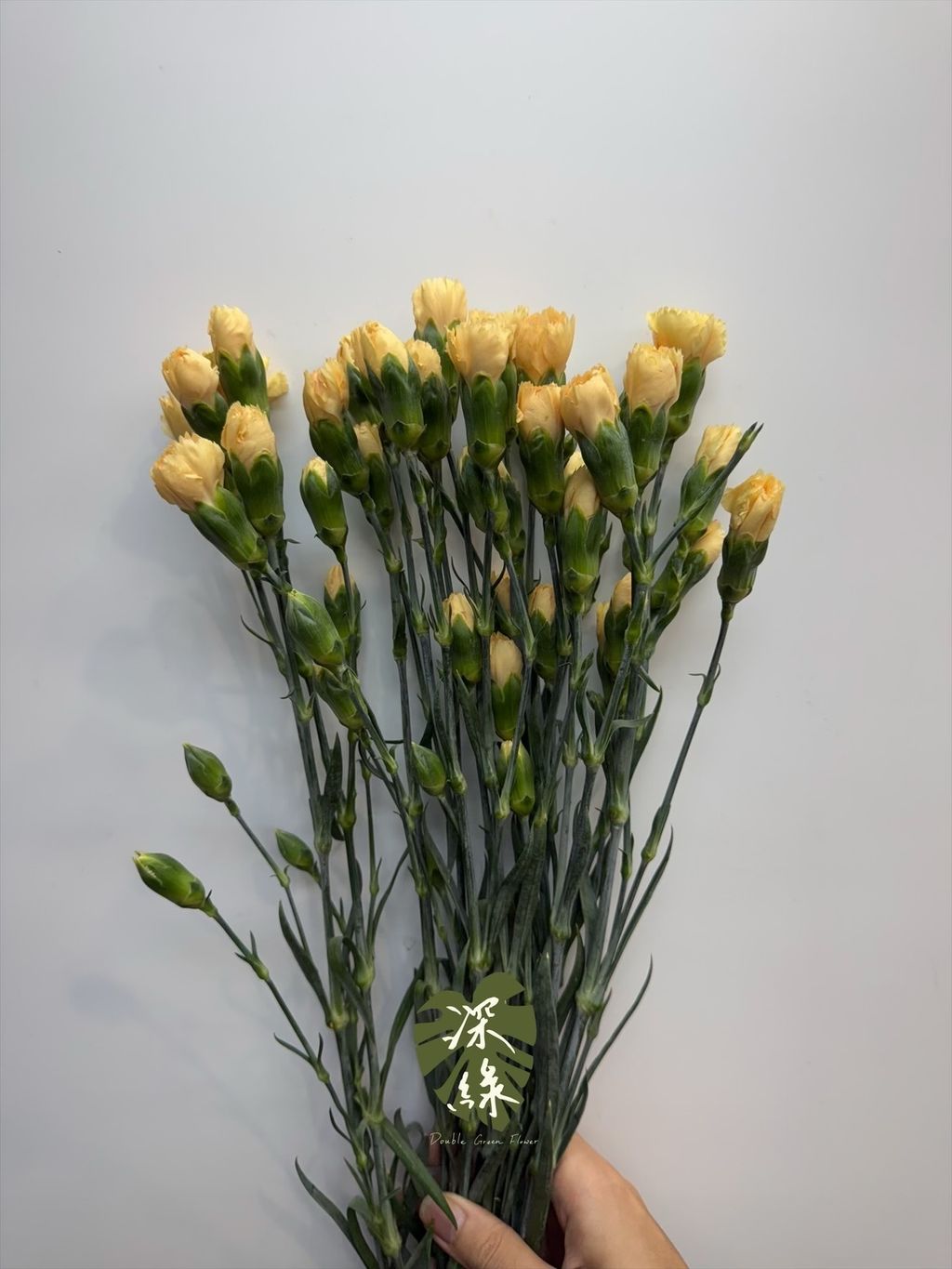 image_E285072C-D94B-4252-BF07-45B7A87E921A_1784103009