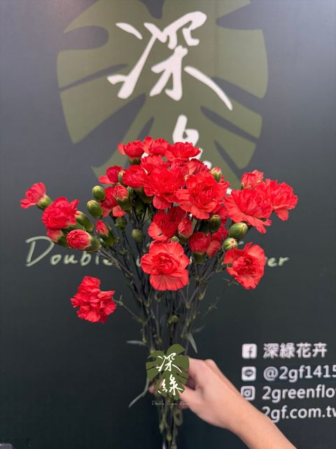 image_36268484-CE42-4A83-BDD3-F198D782DBCE_1785737042