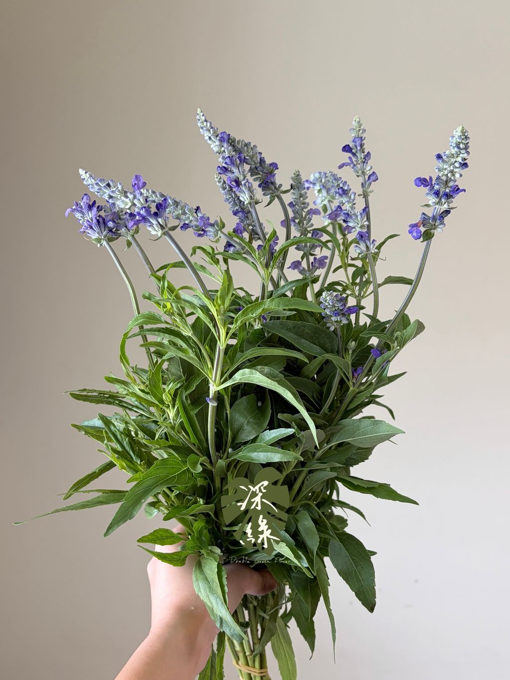 image_45EADB17-BDFA-411F-8E4E-B82290B2CF5B_1785740820