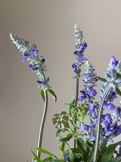 image_1ADCBC16-44C2-4665-9EAB-A3B9C3BEA69A_1785740820