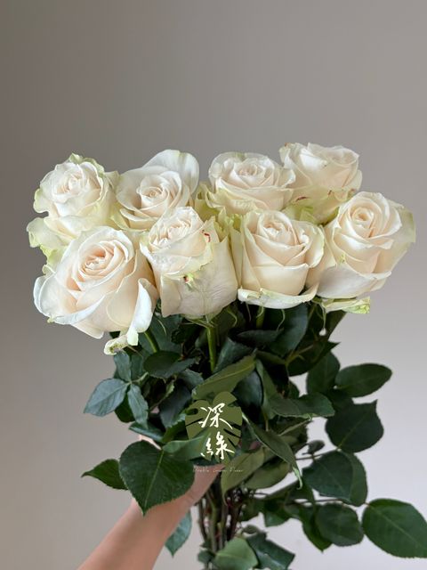 image_C3453588-90DB-43D9-87A4-2859981C51EC_1785742349
