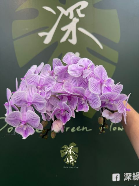 image_10E0A8D2-365B-4BC1-AF3D-3C1B5B50B067_1785826196